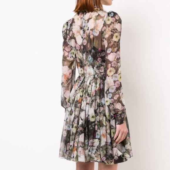 Adam Lippes "Printed Chiffon Tie-Neck Mini Dress" - Picture 7 of 11